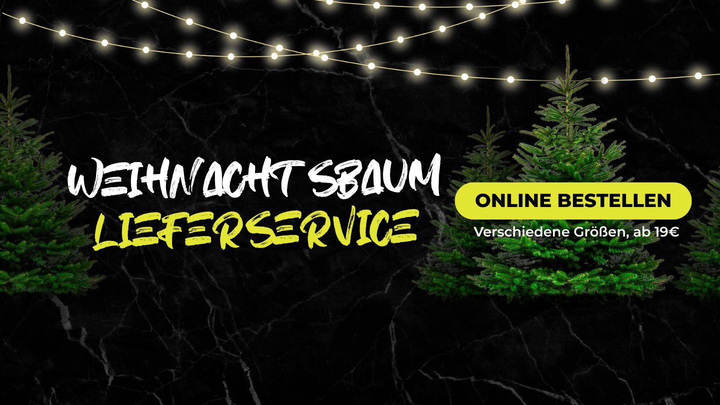 ECHTE SALZBURGER NORDMANNTANNE, GELIEFERT!